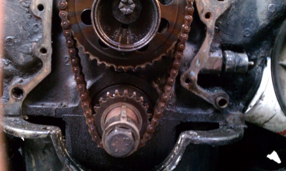 Close-up of engine timing chain and gears, showing wear and oil