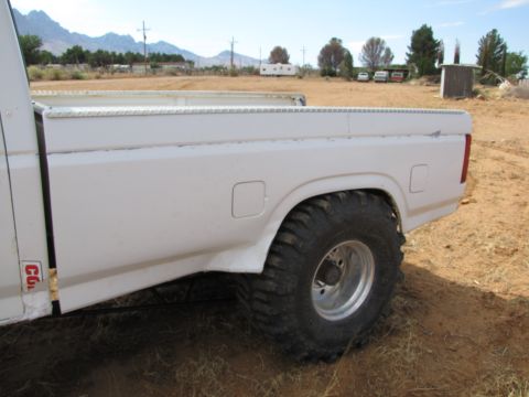 1995 Ford Bronco - Rear view of a white pickup truck, showing the bed and a large tire. Mountains are visible in the distance.