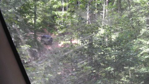 1989 Ford Bronco - A dark SUV navigates a dirt road through a dense forest.