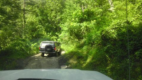 1989 Ford Bronco - A 1989 Ford Bronco navigates a dirt path surrounded by dense green foliage.