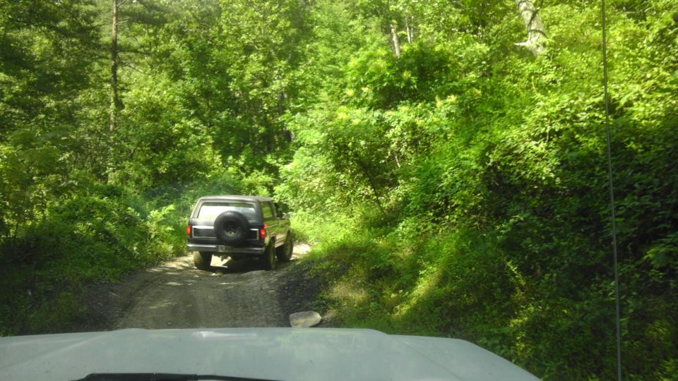 1989 Ford Bronco driving on a dirt road through a wooded area