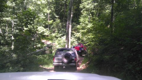 1989 Ford Bronco - A line of off-road vehicles navigates a wooded trail.