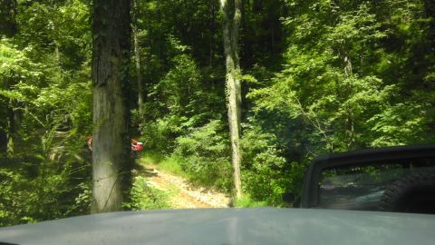 1989 Ford Bronco - Off-roading adventure through a wooded trail with multiple vehicles.