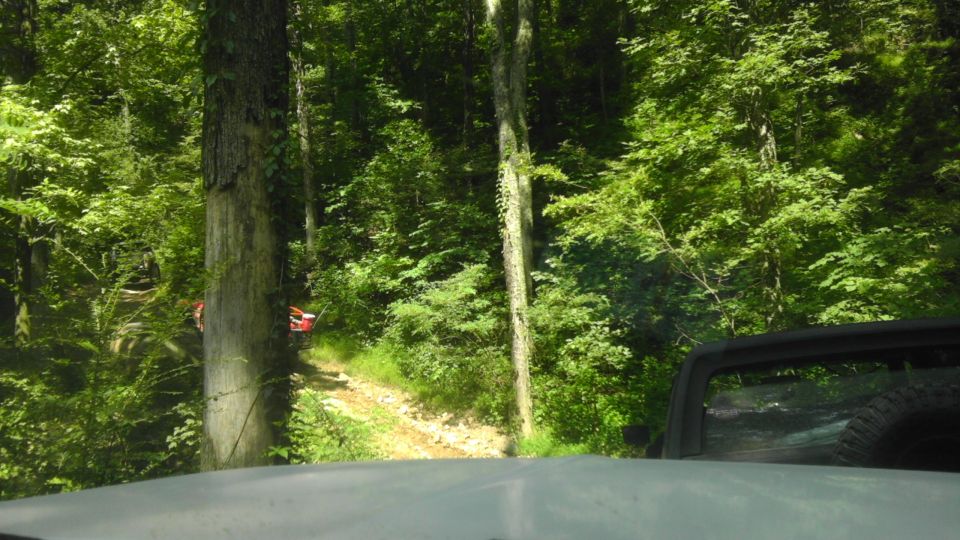 Two off-road vehicles, one red and one orange, on a dirt path in a dense forest. View from inside another vehicle