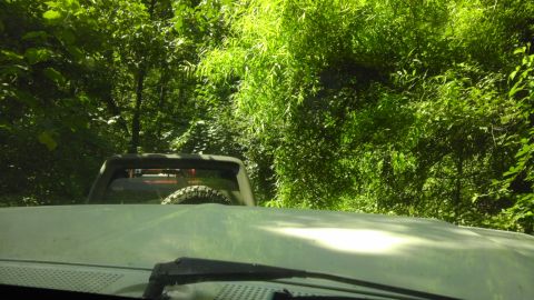 1989 Ford Bronco - A white SUV navigates a wooded trail, its spare tire visible on the rear.
