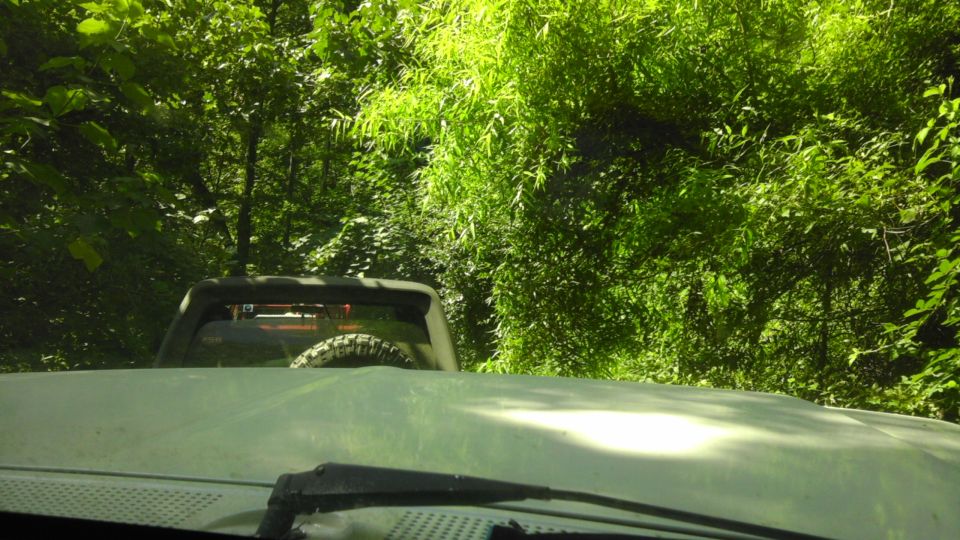 White SUV rear view with spare tire, driving on a trail