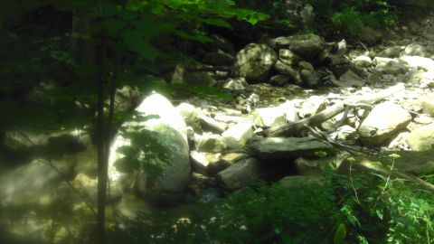 1989 Ford Bronco - A natural scene of a stream bed filled with rocks and surrounded by trees and plants.