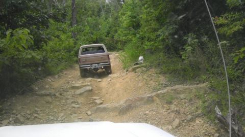 1989 Ford Bronco - A brown pickup truck navigates a challenging off-road path through a wooded area.