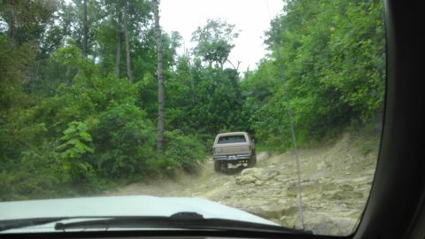 1989 Ford Bronco - A truck navigates a challenging off-road path surrounded by dense green foliage.