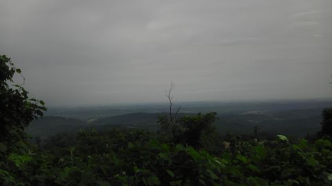 1989 Ford Bronco - A wide landscape view under a cloudy sky, with lush green foliage in the foreground and rolling hills in the distance.
