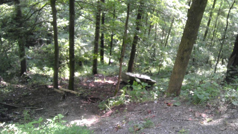 Abandoned vehicle in woods, partially obscured by trees and foliage
