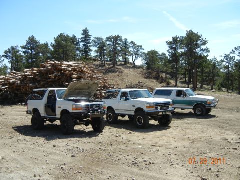 1996 Ford Bronco - Three Ford trucks are parked outdoors on a sunny day, with a large pile of logs in the background.