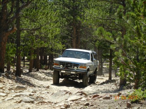 1996 Ford Bronco - A white Ford Bronco navigates a challenging rocky path through a pine forest.