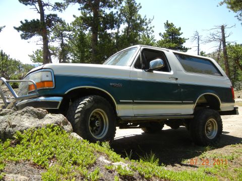 1996 Ford Bronco - This 1996 Ford Bronco is shown off-road with a bull bar and lifted suspension.
