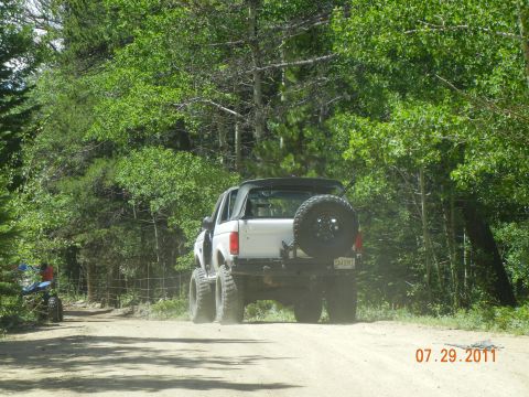 1996 Ford Bronco - A white 1996 Ford Bronco is seen from the rear on a dirt road surrounded by trees.