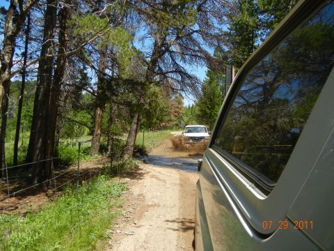 1996 Ford Bronco - A white SUV navigates a muddy obstacle on a dirt road, with trees lining the path and another vehicle capturing the scene.