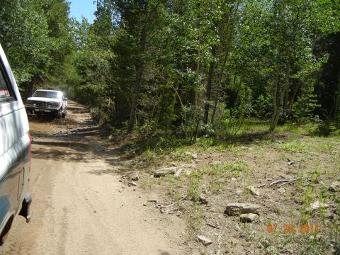 1996 Ford Bronco - A white 1996 Ford Bronco navigates a muddy section of a dirt road surrounded by trees.