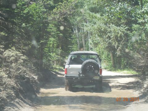 1996 Ford Bronco - A Ford Bronco navigates a muddy trail surrounded by dense forest.