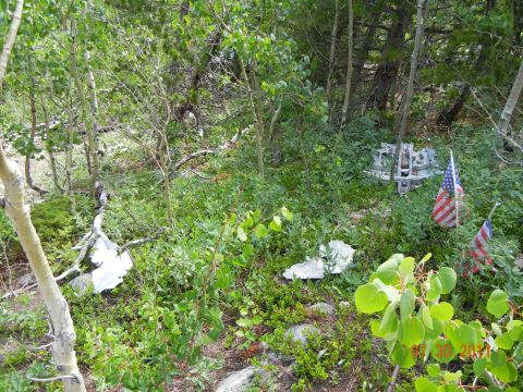1996 Ford Bronco - Debris scattered in a wooded area, marked with American flags and a date stamp of 07/30/2011.
