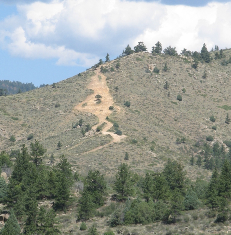 Dirt path winding up a dry, grassy hill with scattered pine trees. Blue sky with clouds above