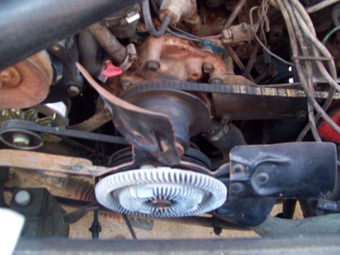 1985 Ford Bronco - Close-up view of the engine compartment of a 1985 Ford Bronco.