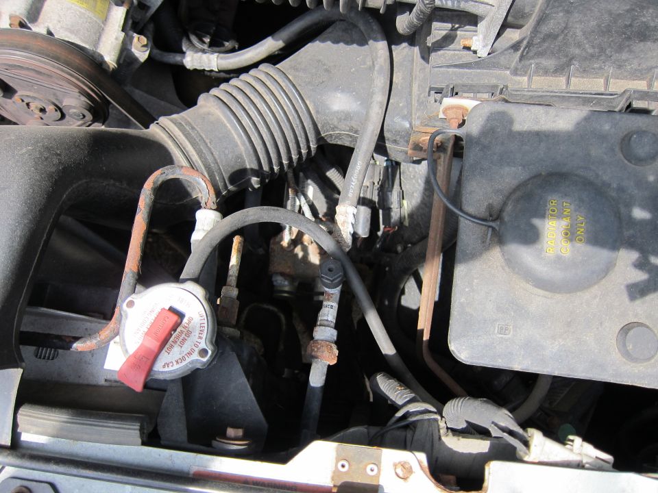 Engine bay with radiator cap and air intake hose