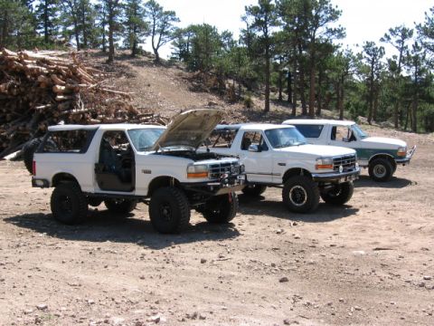 1995 Ford Bronco - Three lifted mid-1990s full-size Ford Broncos parked on a dirt clearing beside a large log pile in a pine forest; the nearest white Bronco…