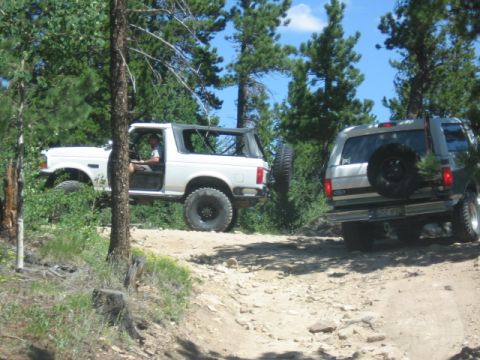 1995 Ford Bronco - Two white full-size Ford Broncos on a rocky pine-forest trail, one at left with its soft top open and driver leaning out, the other seen fr…