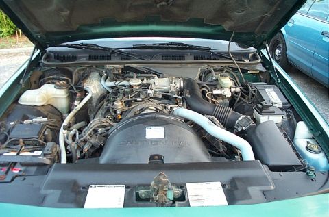 2001 Ford Crown Victoria - The engine compartment of a 2001 Ford Crown Victoria, showing the V8 engine and various fluid reservoirs.