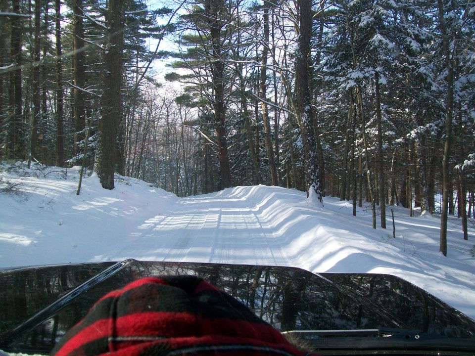 Interior view of vehicle driving on snowy forest road