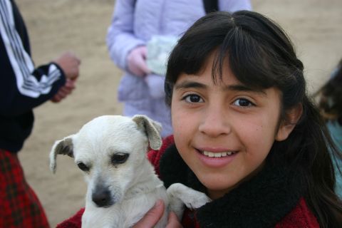 1986 Ford Bronco - A young girl smiles while holding a small white dog, with other people visible in the background.