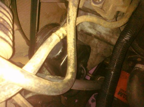 1995 Ford Bronco - Close-up view of the power steering pump and associated hoses within an engine compartment.