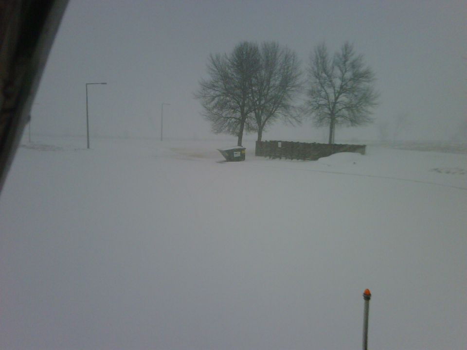 Snowy scene with bare trees, a dumpster, and a stone wall under a hazy sky