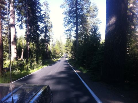 1990 Ford Bronco - Driving down a paved road through a dense forest with tall pine trees on either side.