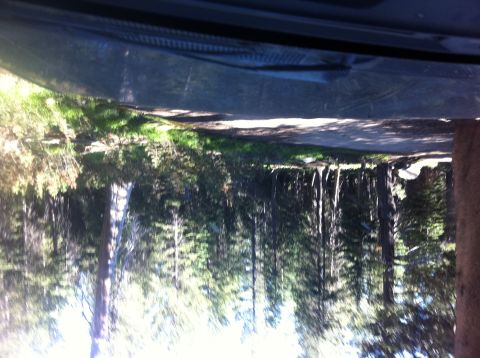 1990 Ford Bronco - A dirt road winds through a forest, with the Supermotors logo visible.