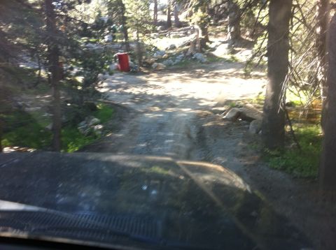 1990 Ford Bronco - View from inside a vehicle driving on a dirt road through a wooded area.