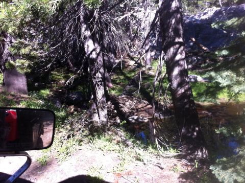 1990 Ford Bronco - View from inside a vehicle shows a side mirror reflecting a red container, with a wooded scene beyond.