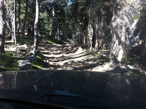 1990 Ford Bronco - Driving on a rough forest trail during the Slick Rock '11 event.