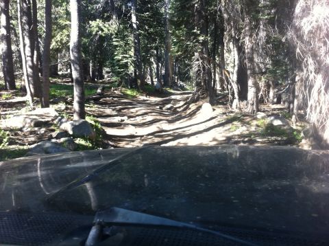 1990 Ford Bronco - Driving down a rough, wooded trail. The path is uneven with rocks and roots.
