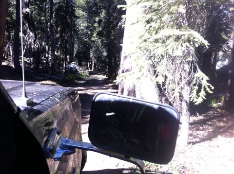 1990 Ford Bronco - Driving down a dirt road in a forest, with the side mirror in view.