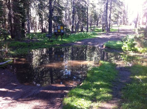1990 Ford Bronco - A muddy forest path features a large puddle reflecting trees and a signpost with multiple panels.