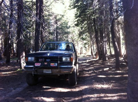 1990 Ford Bronco - A Ford Bronco II drives down a wooded trail, sunlight filtering through the trees.