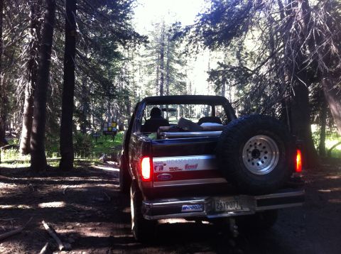 1990 Ford Bronco - A Ford Bronco is parked on a dirt road surrounded by trees, with its rear visible.