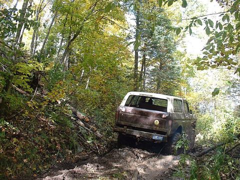 1978 Ford Bronco - This 1978 Ford Bronco is shown off-roading through a muddy path in a forest.