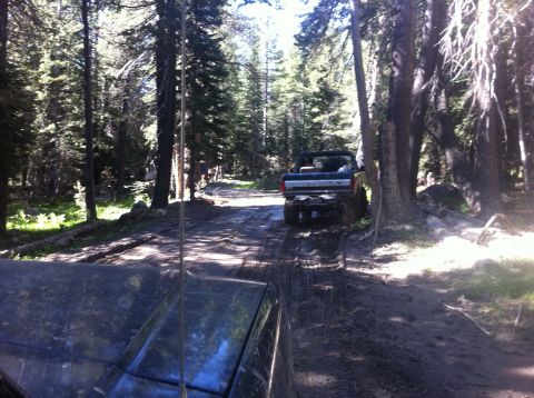 1990 Ford Bronco - A dark blue Ford Bronco navigates a muddy trail through a dense forest.