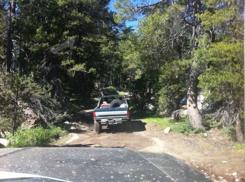 1990 Ford Bronco - A 1990 Ford Bronco navigates a wooded trail, seen from another vehicle following behind.