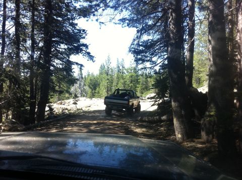1990 Ford Bronco - A 1990 Ford Bronco navigates a wooded trail during an off-road excursion.