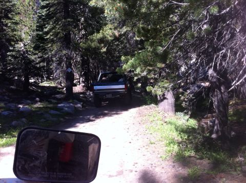 1990 Ford Bronco - A pickup truck navigates a wooded trail, seen from the perspective of another vehicle.