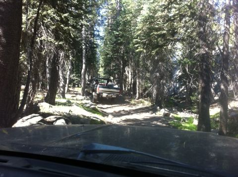 1990 Ford Bronco - A dark SUV navigates a wooded trail, kicking up dust as it goes.