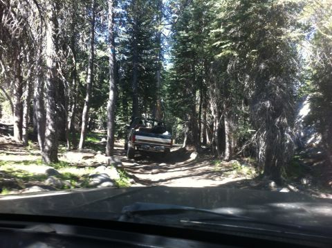 1990 Ford Bronco - A vehicle navigates a wooded trail, kicking up dust on the path ahead.